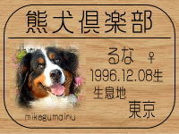 @��������̂g�o�ւf�n�I